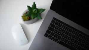 An overhead view of a laptop keyboard next to a white mouse and a small potted succulent plant on a light surface.